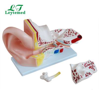 LTM303A Giant human Ear Model